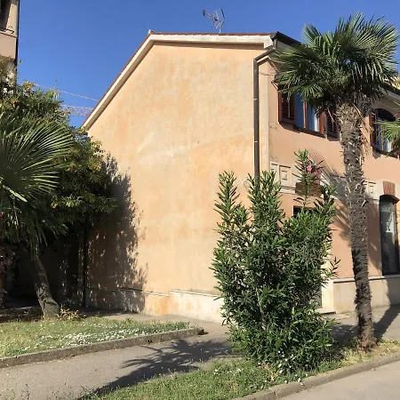 Daire Apartment City